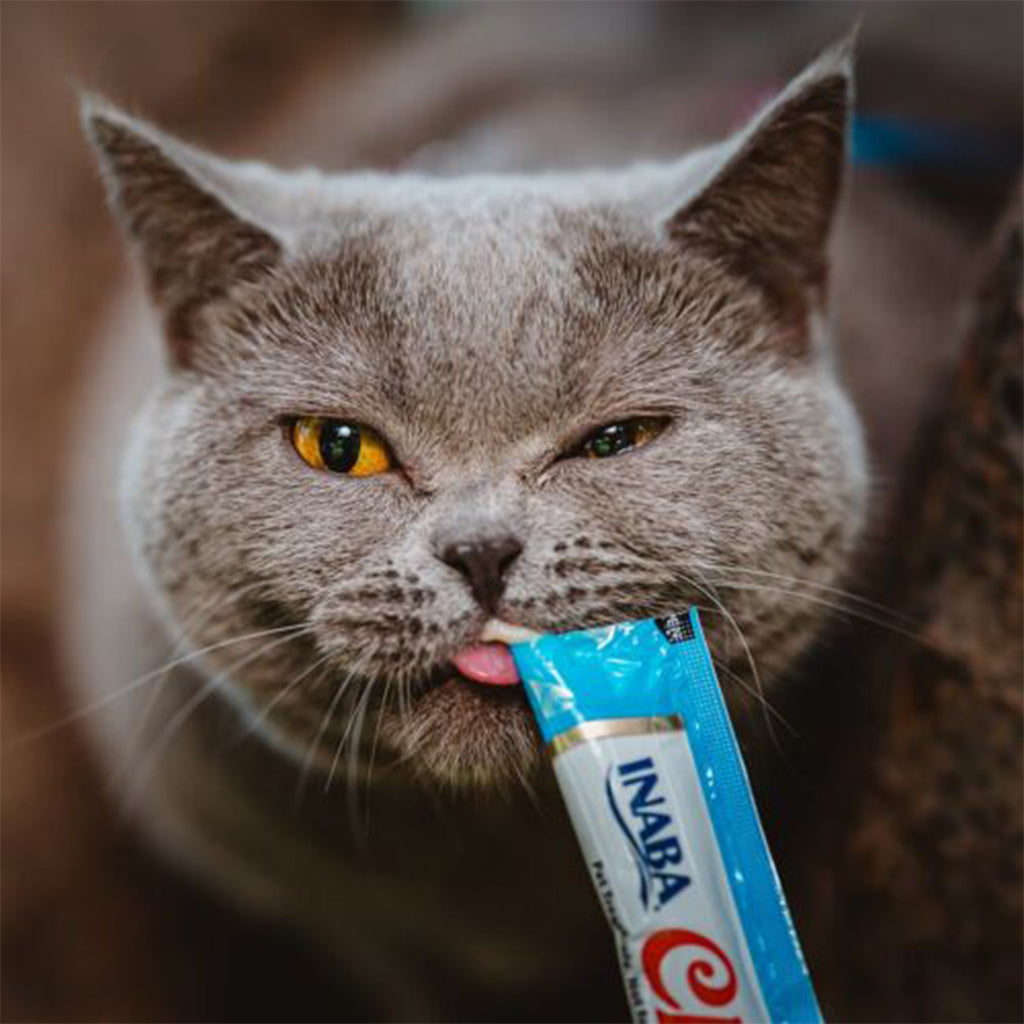 Cat Treats