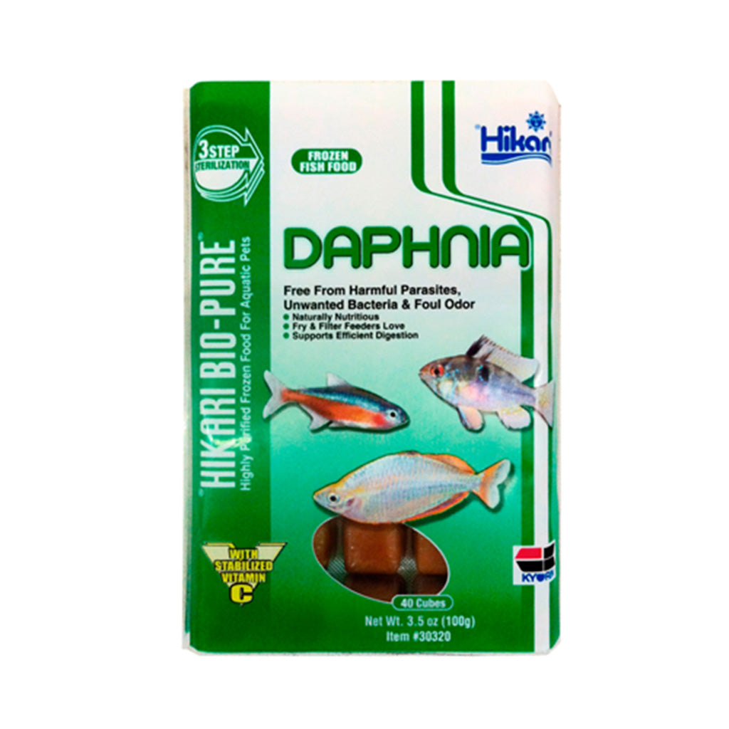 Frozen daphnia shops for betta