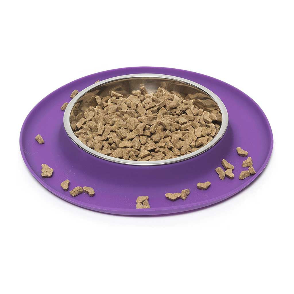 Single Silicone Feeder with Stainless Steel Saucer