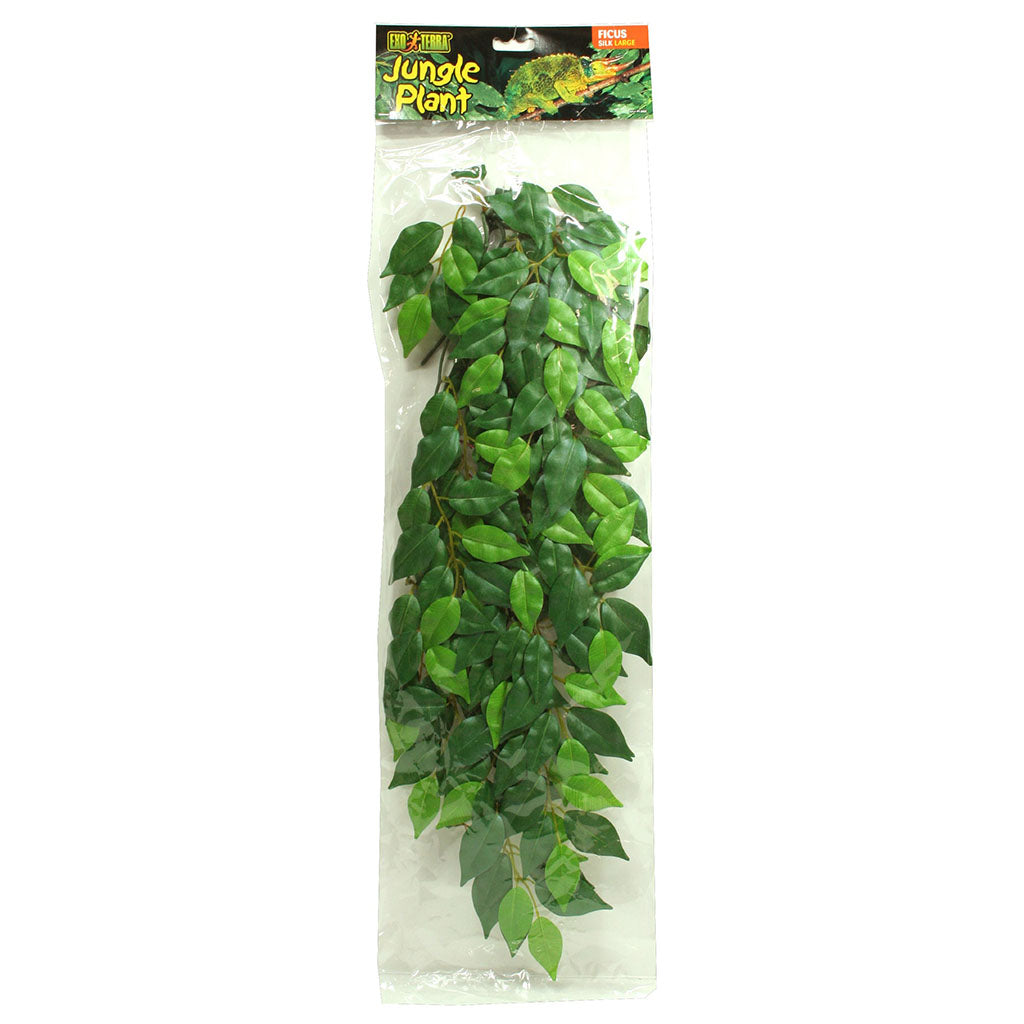 exo terra hanging plants Exo Terra Ficus Silk Plant, Large