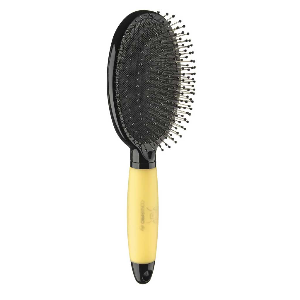 Pin Brush for Large Dogs