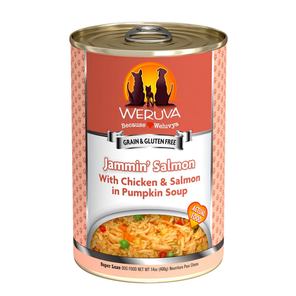 Jammin' Salmon with Chicken & Salmon in Pumpkin Soup Canned Food for Dogs