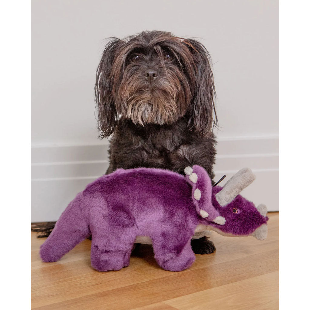 Charlie the Triceratops Plush Toy