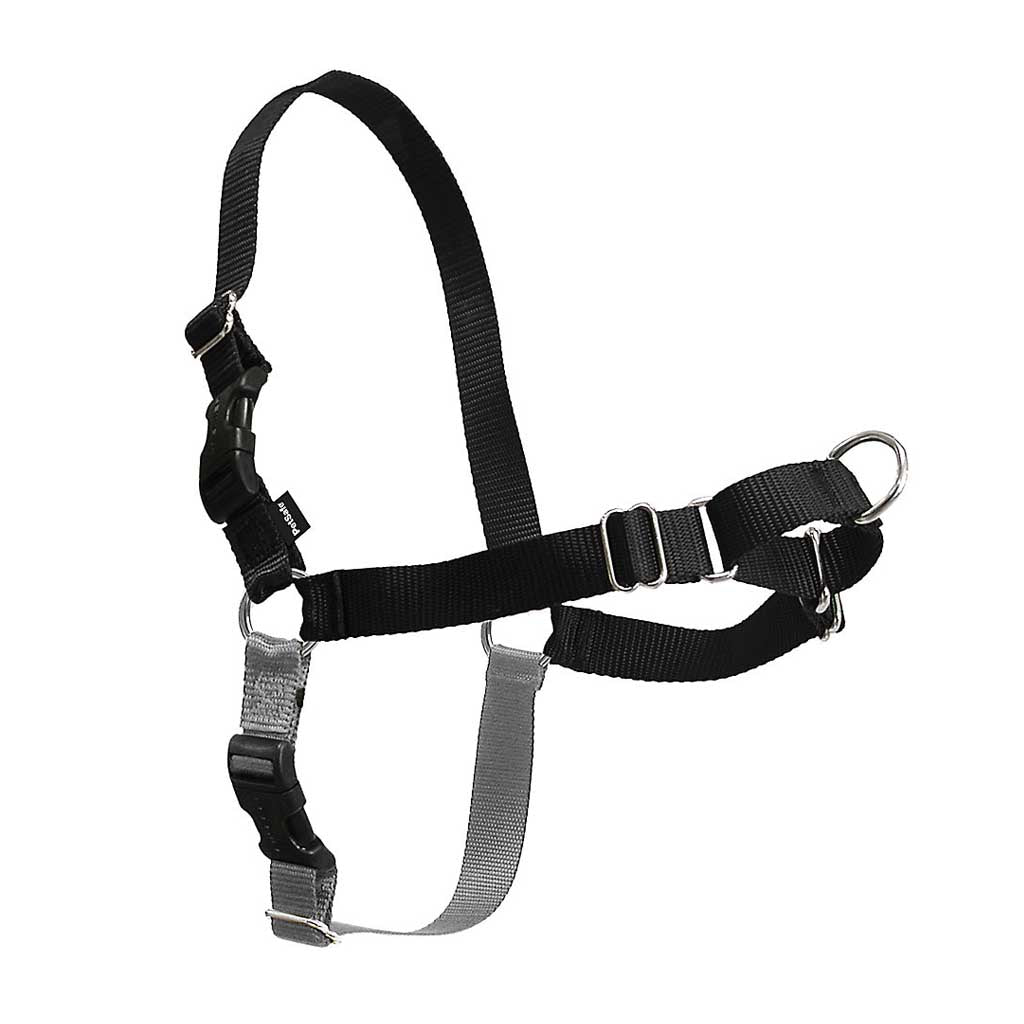 Petsafe easy walk harness petite clearance small