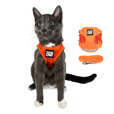 "The True Adventurer" Reflective Cat & Kitten Harness
