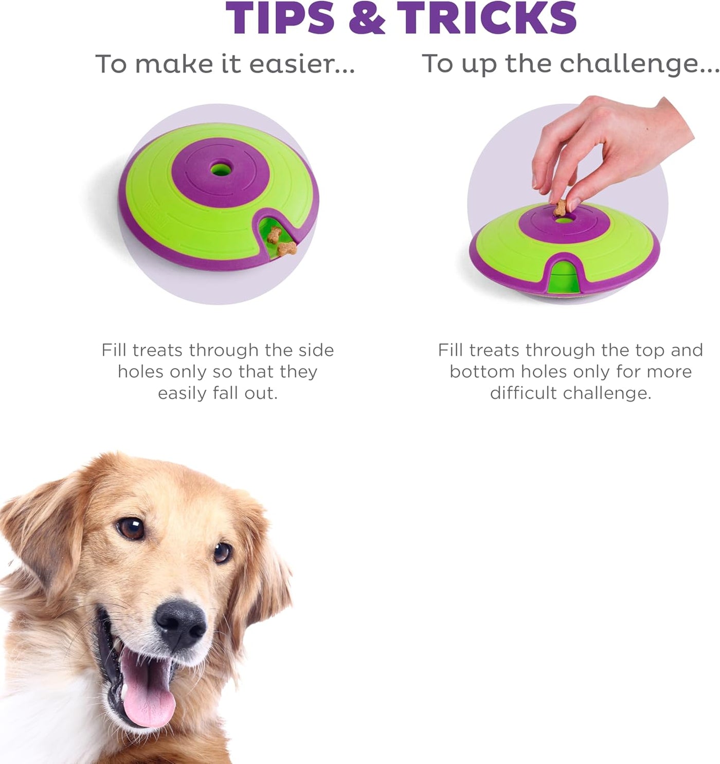 Treat Maze Dog Puzzle by Nina Ottosson