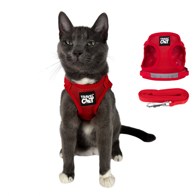 "The True Adventurer" Reflective Cat & Kitten Harness