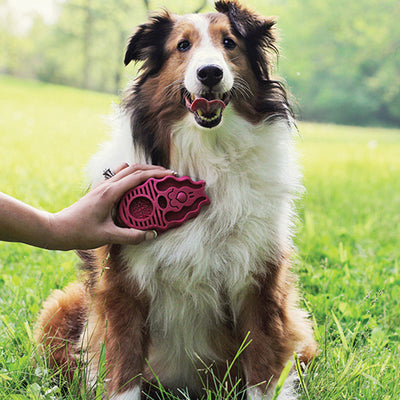 ZoomGroom Shampoo Brush