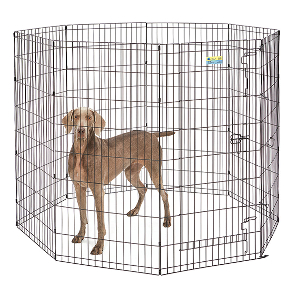 Contour Exercise Pen