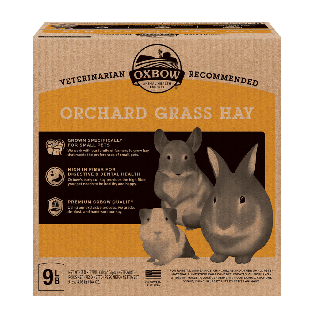 Orchard Grass Hay