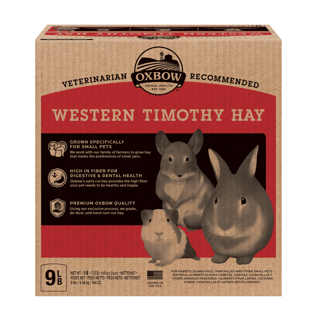 Western Timothy Hay