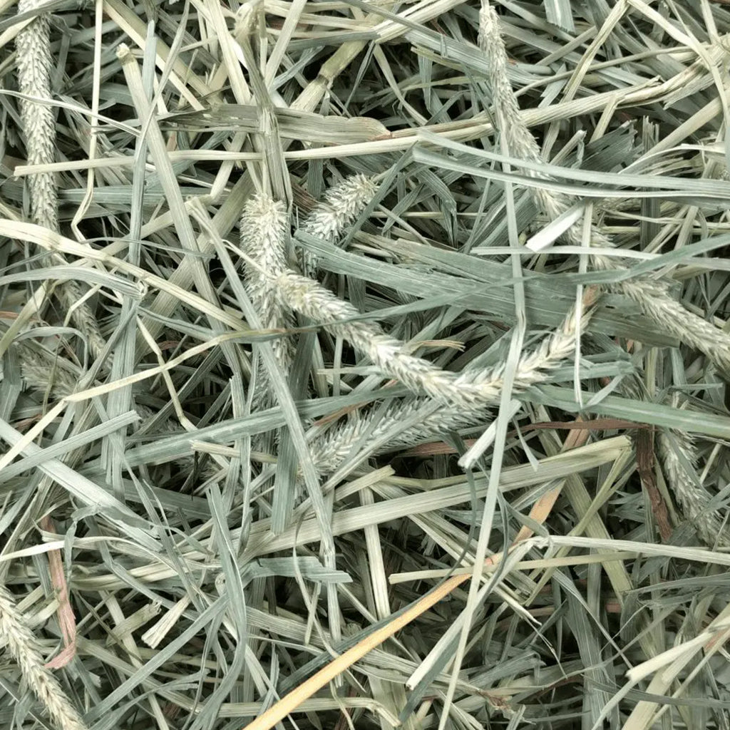 Western Timothy Hay & Orchard Hay Blend