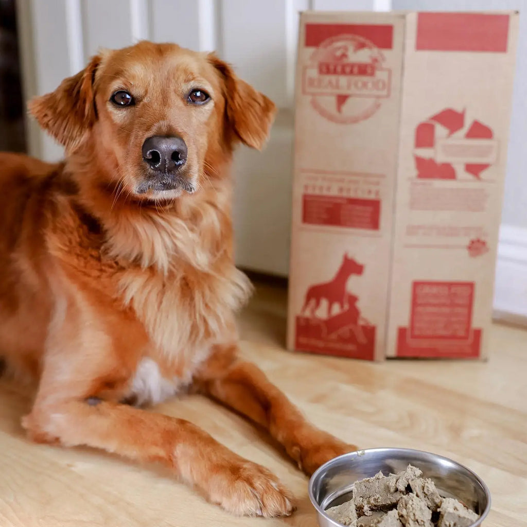 Beef Recipe Frozen Raw Food for Dogs & Cats