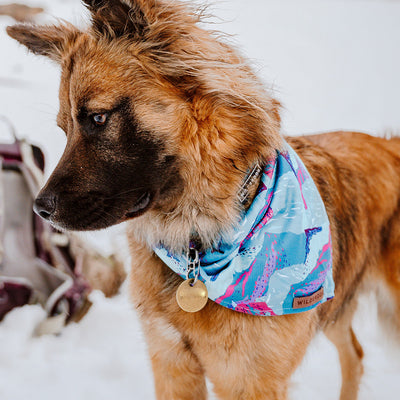 Alpenglow Bandana