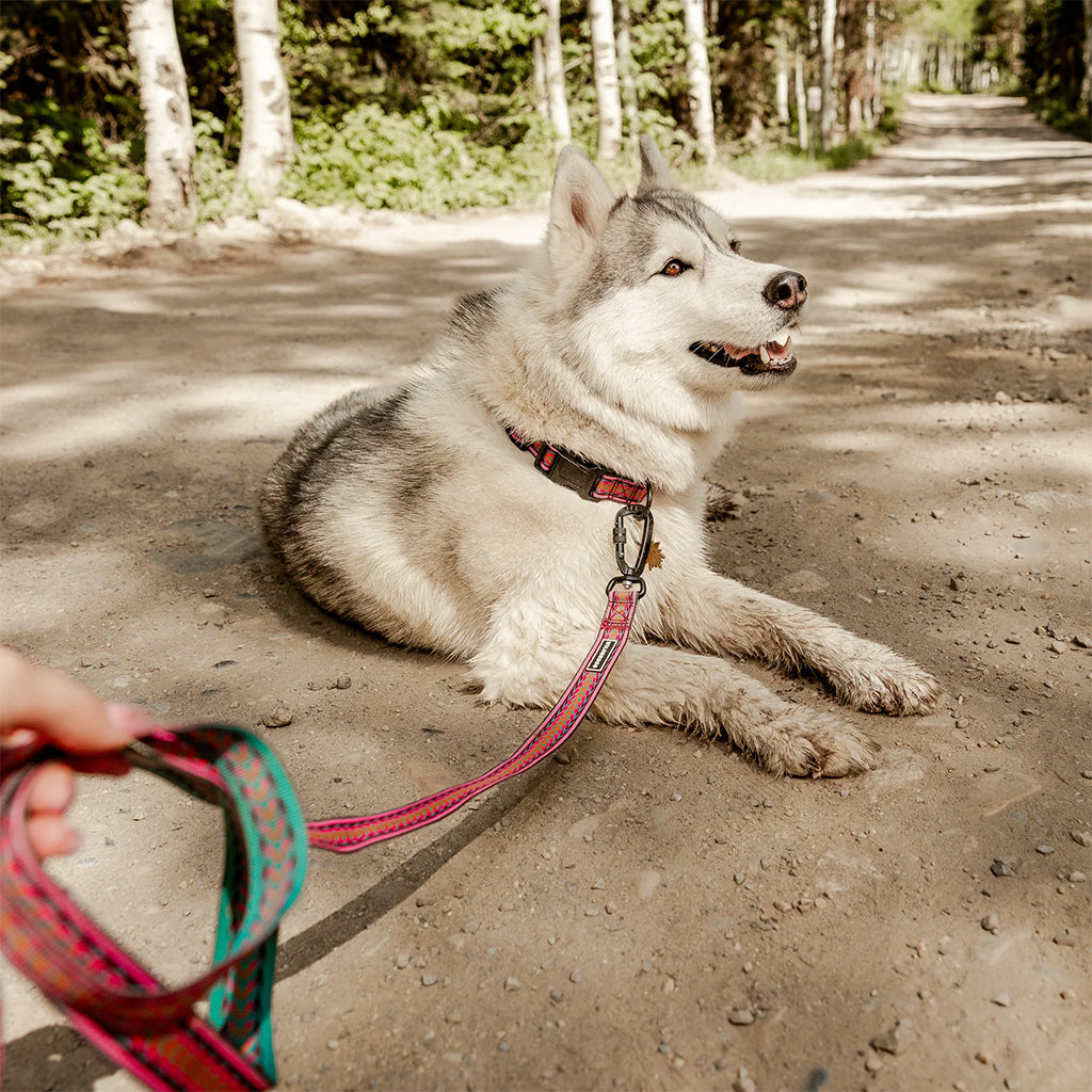 Daybreak Ultralight Leash