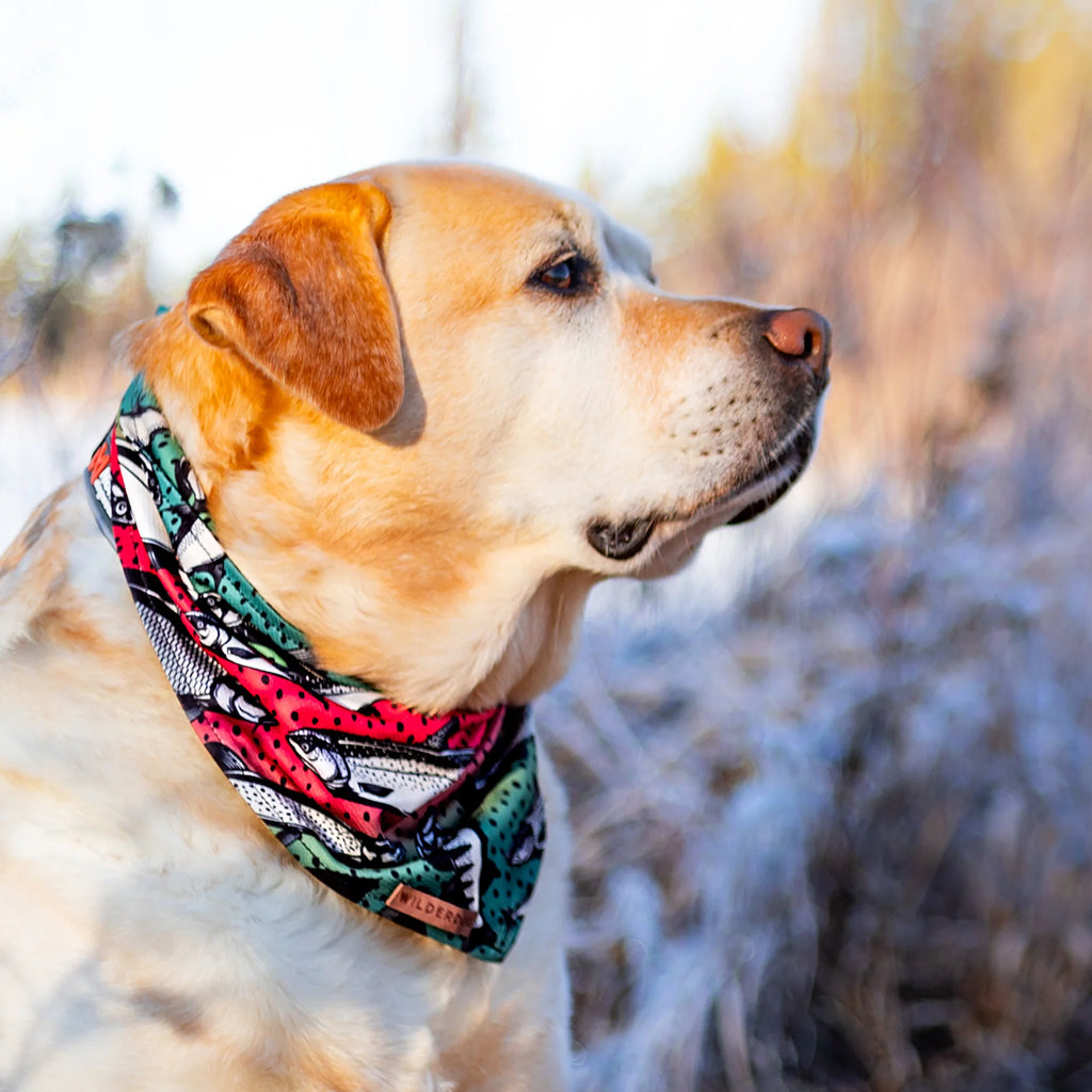 Gone Fishing Bandana