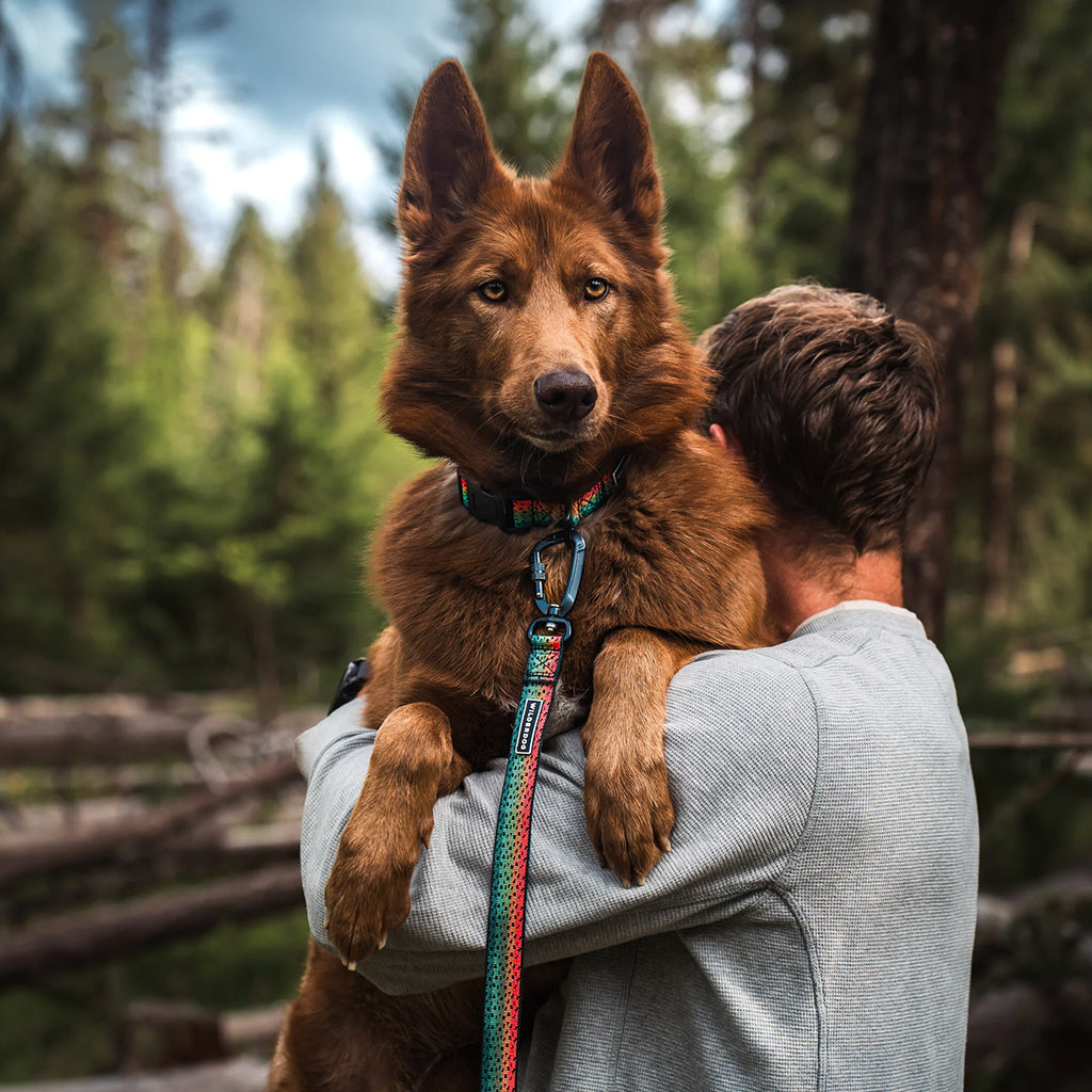 Trout Ultralight Leash