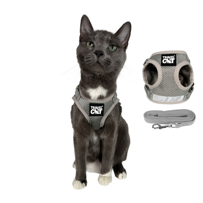 "The True Adventurer" Reflective Cat & Kitten Harness
