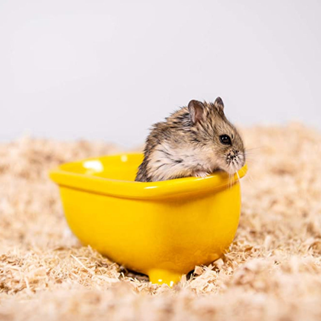 Aspen shavings for rats best sale