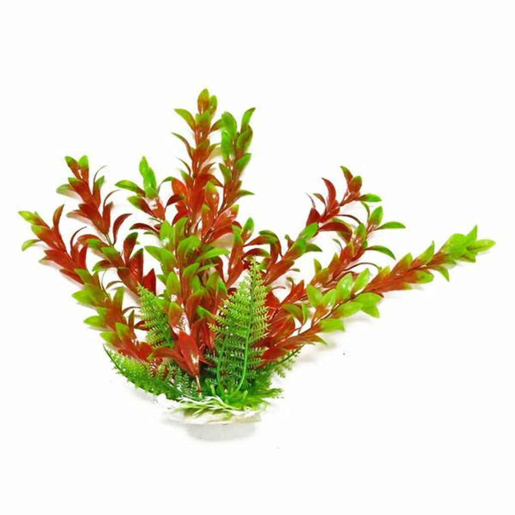 Aquatop Hygro-like Green/Red 12"