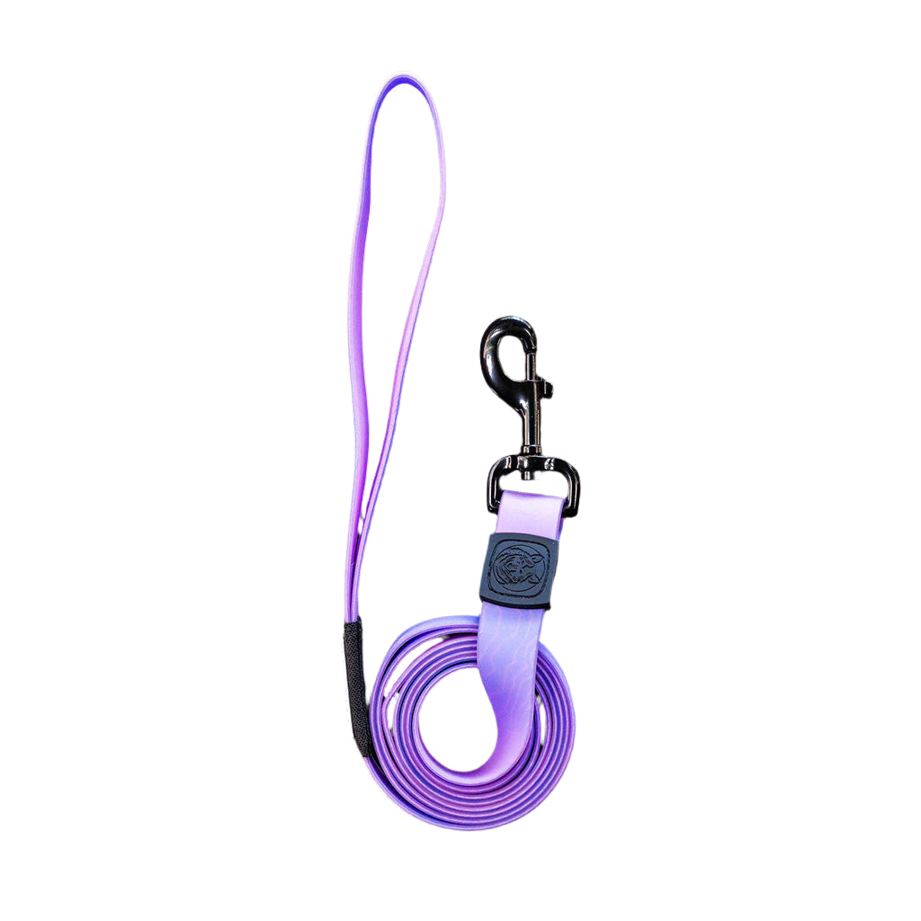 Aurora Waterproof Leash