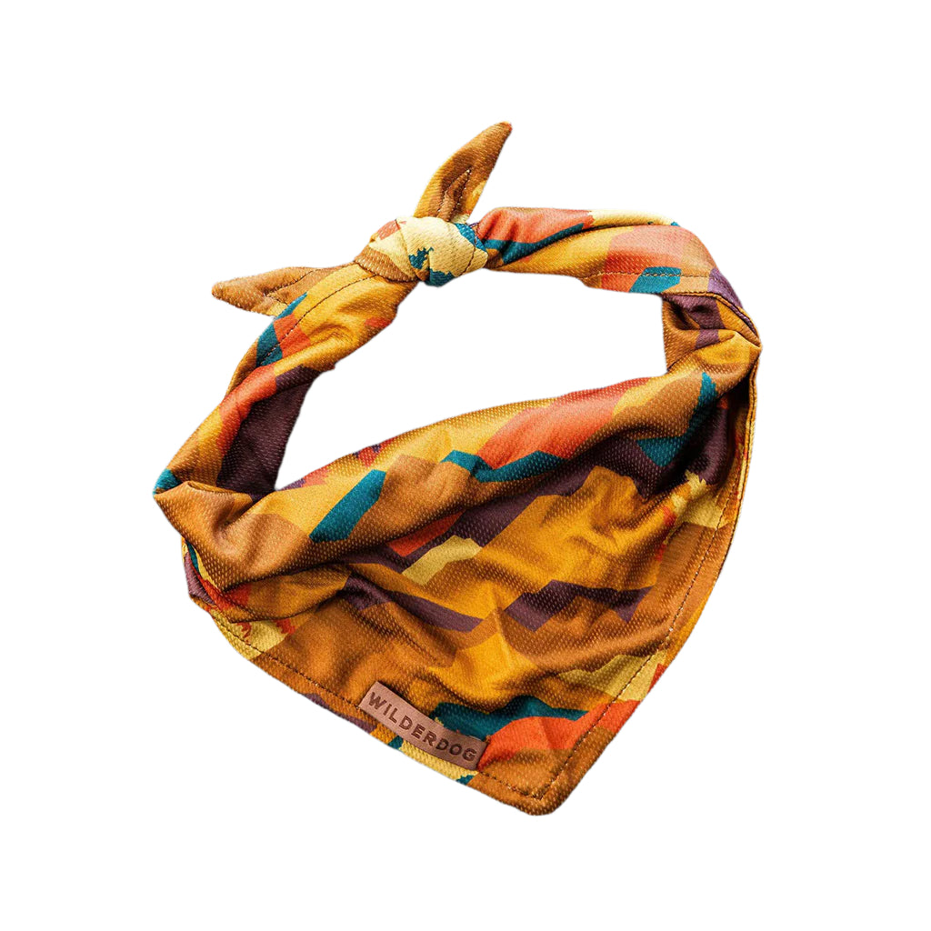 Autumn Air Bandana