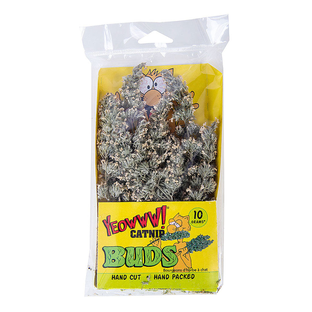 Catnip Buds 10g