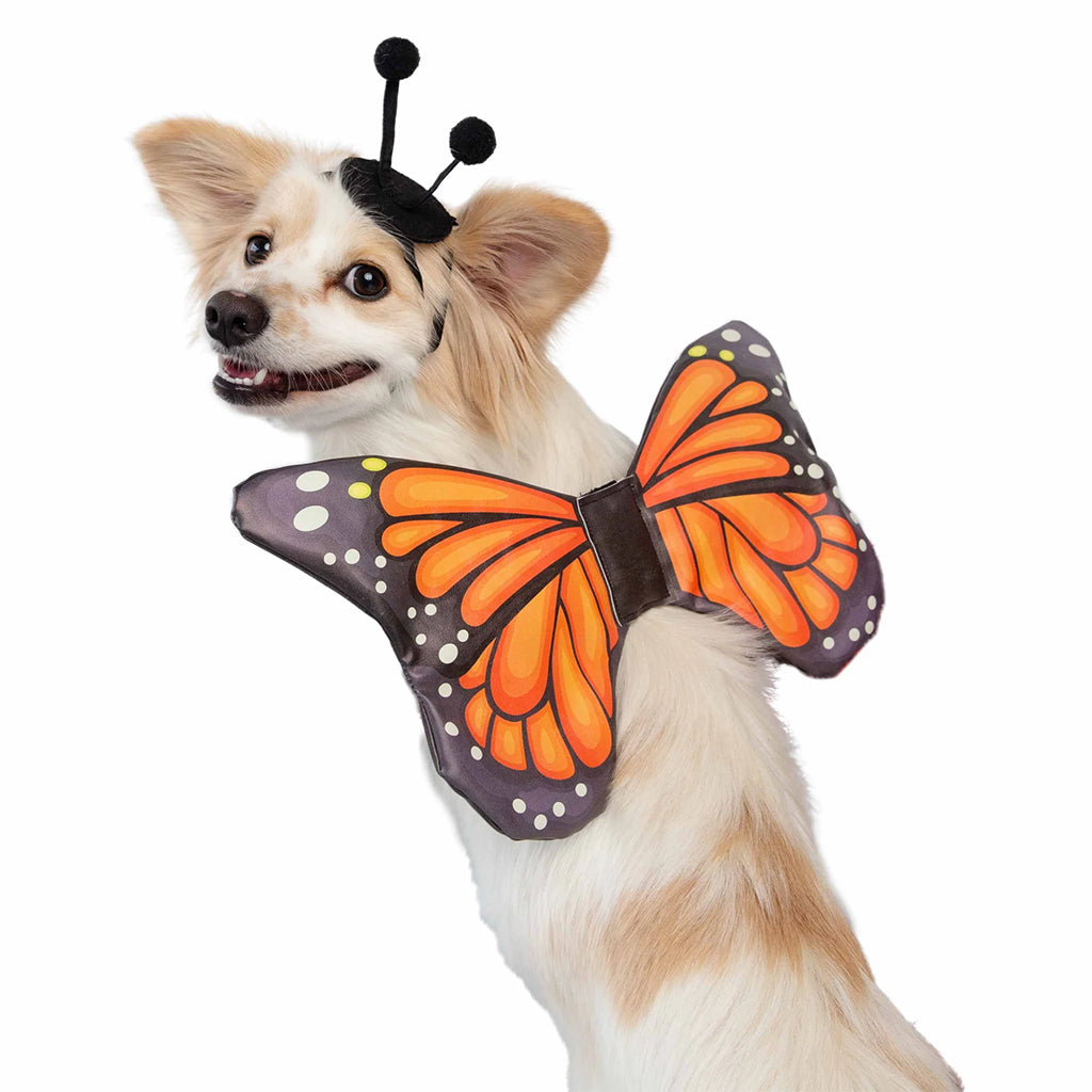 Monarch Butterfly Dog and Cat Costume