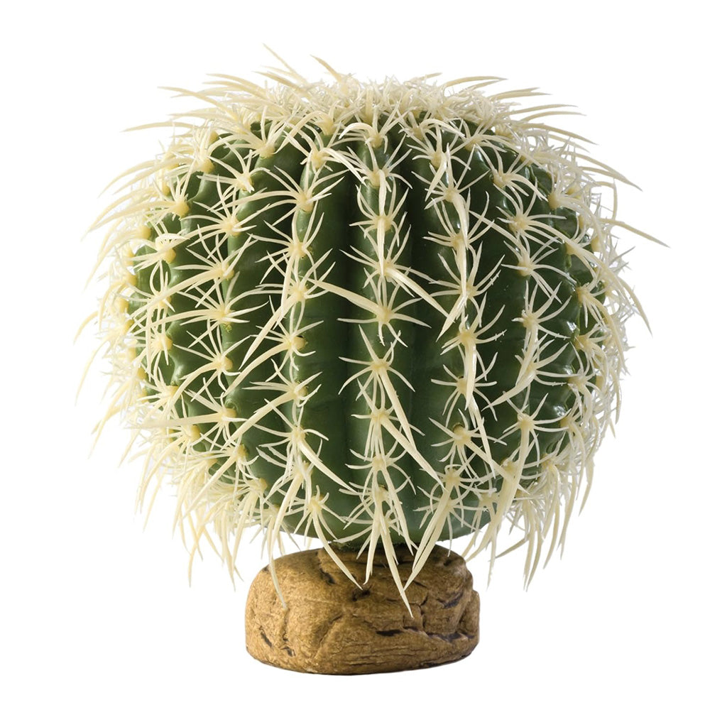 Exo Terra Barrel Cactus Terrarium Plant