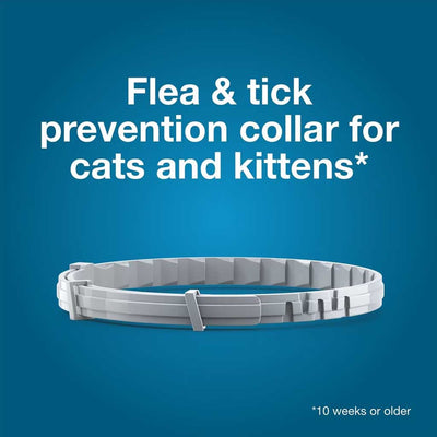 8 Month Flea & Tick Prevention Collar for Cats