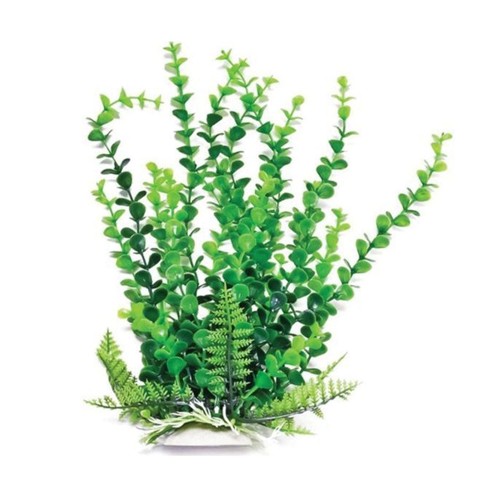 Aquatop Elodea Plant 12"