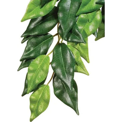 Jungle Plant - Hanging Ficus Silk Large