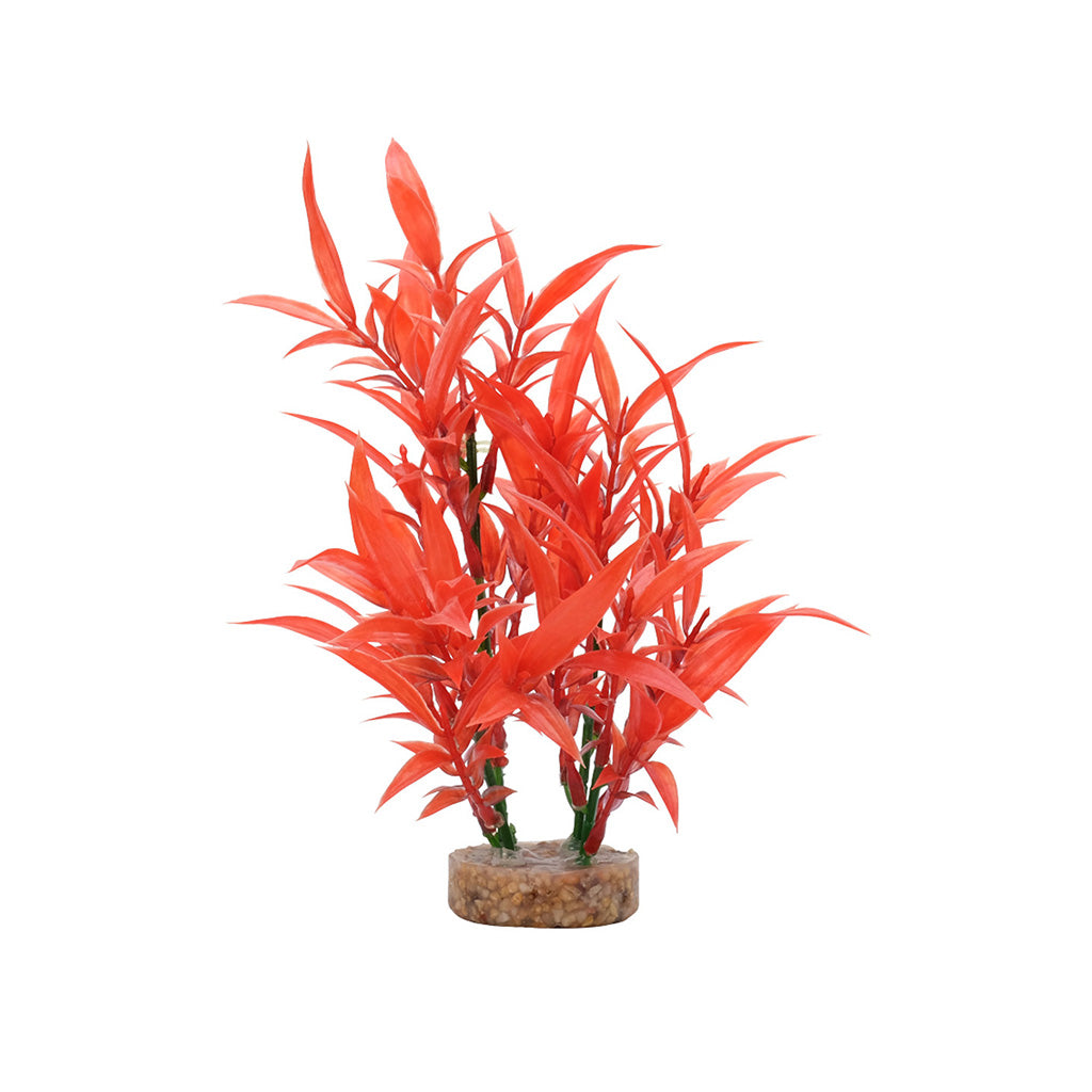 Fluval AquaLife Intense Red Hygrophila 8"