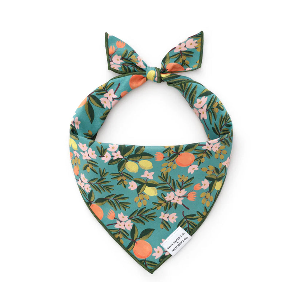 Citrus Floral Pet Bandana