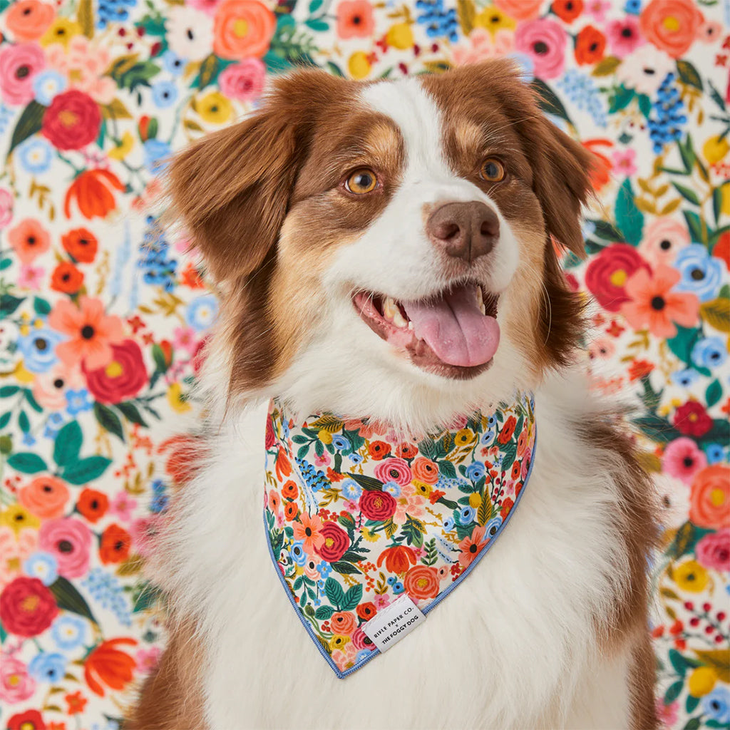 Garden Party Pet Bandana