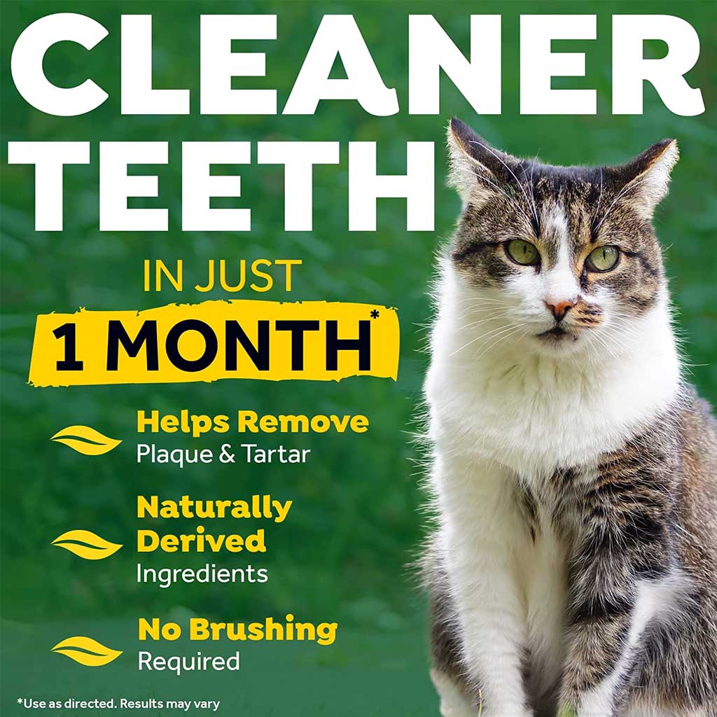 No Brushing Gel for Cats