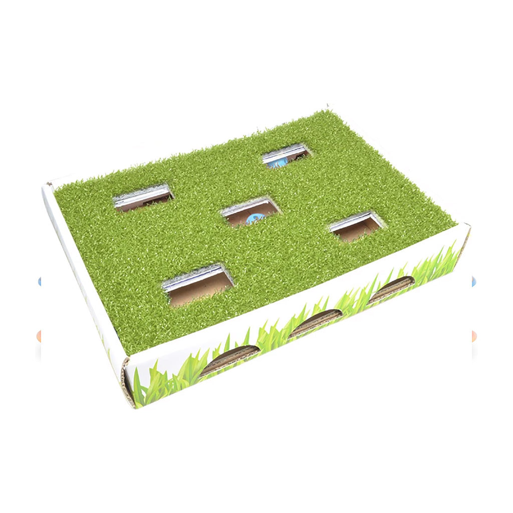 Grass Patch Hunting Box Cat Scratcher Toy