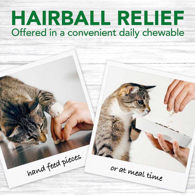 Hairball Relief Digestive Aid Chews 60ct