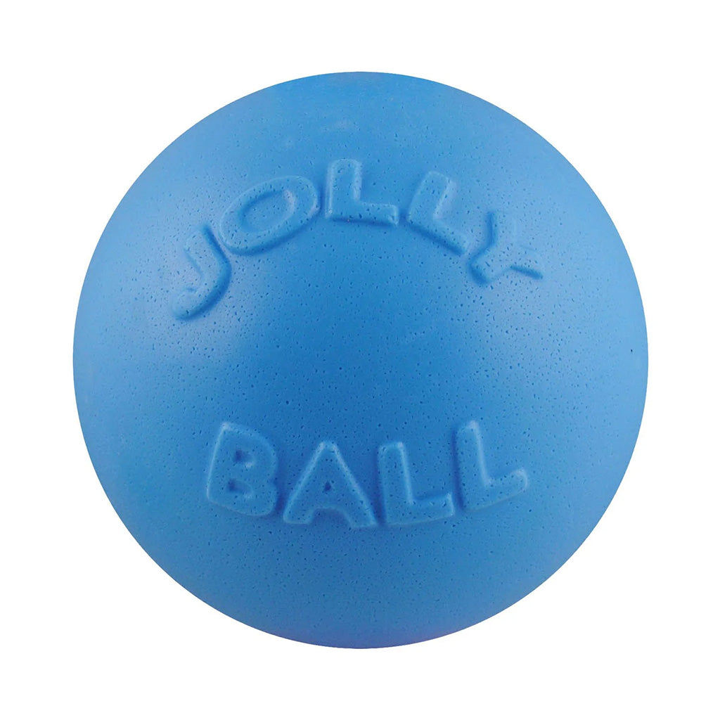 Bounce-n-Play Jolly Ball Blueberry