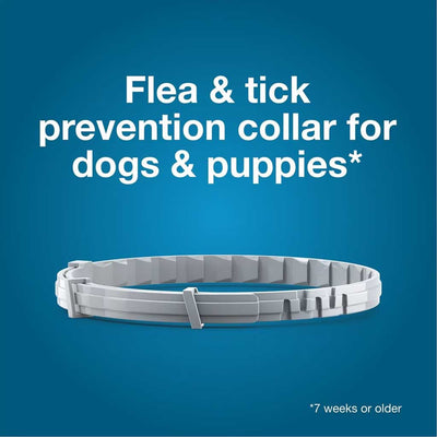 8 Month Flea & Tick Prevention Collar for Large Dogs (18lbs+)