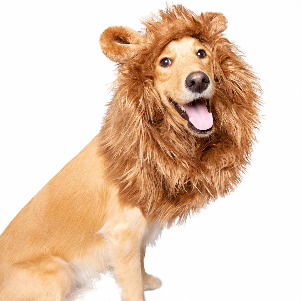 Lion Mane with Ears Dog Costume