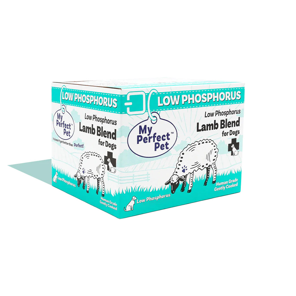 Low Phosphorus Lamb for Dogs