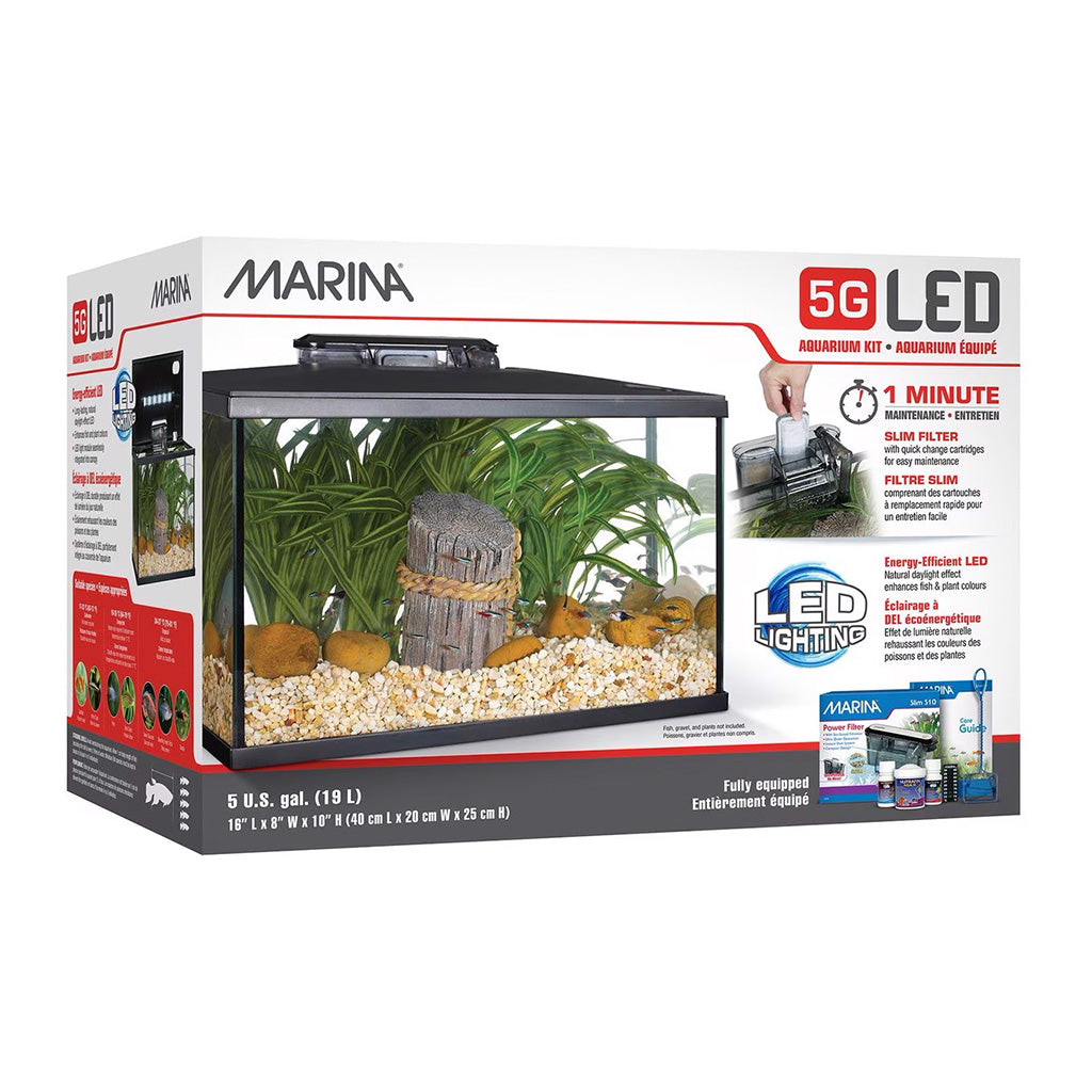 Marina 5 Gallon LED Aquarium Kit
