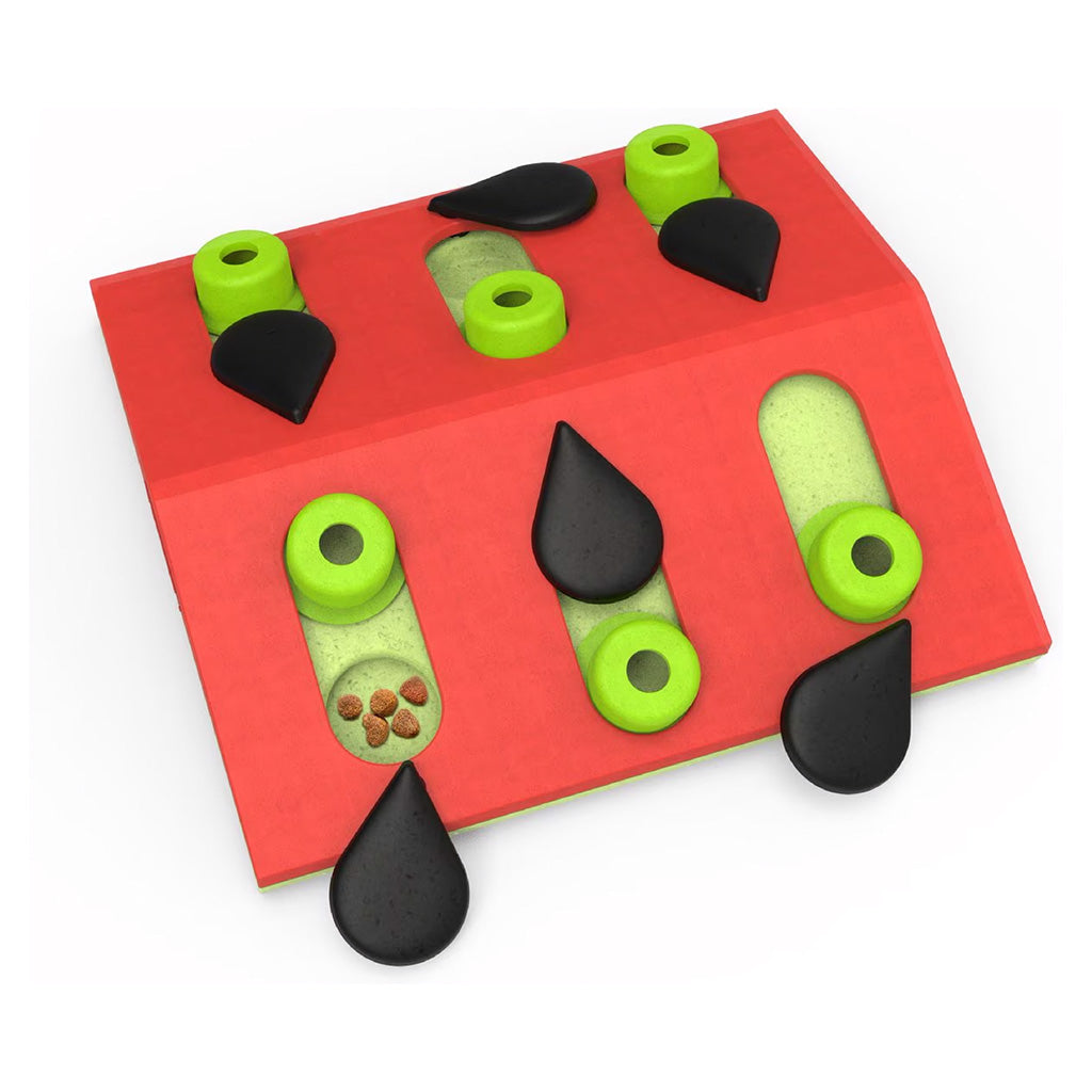 Melon Madness Puzzle & Play Cat Toy