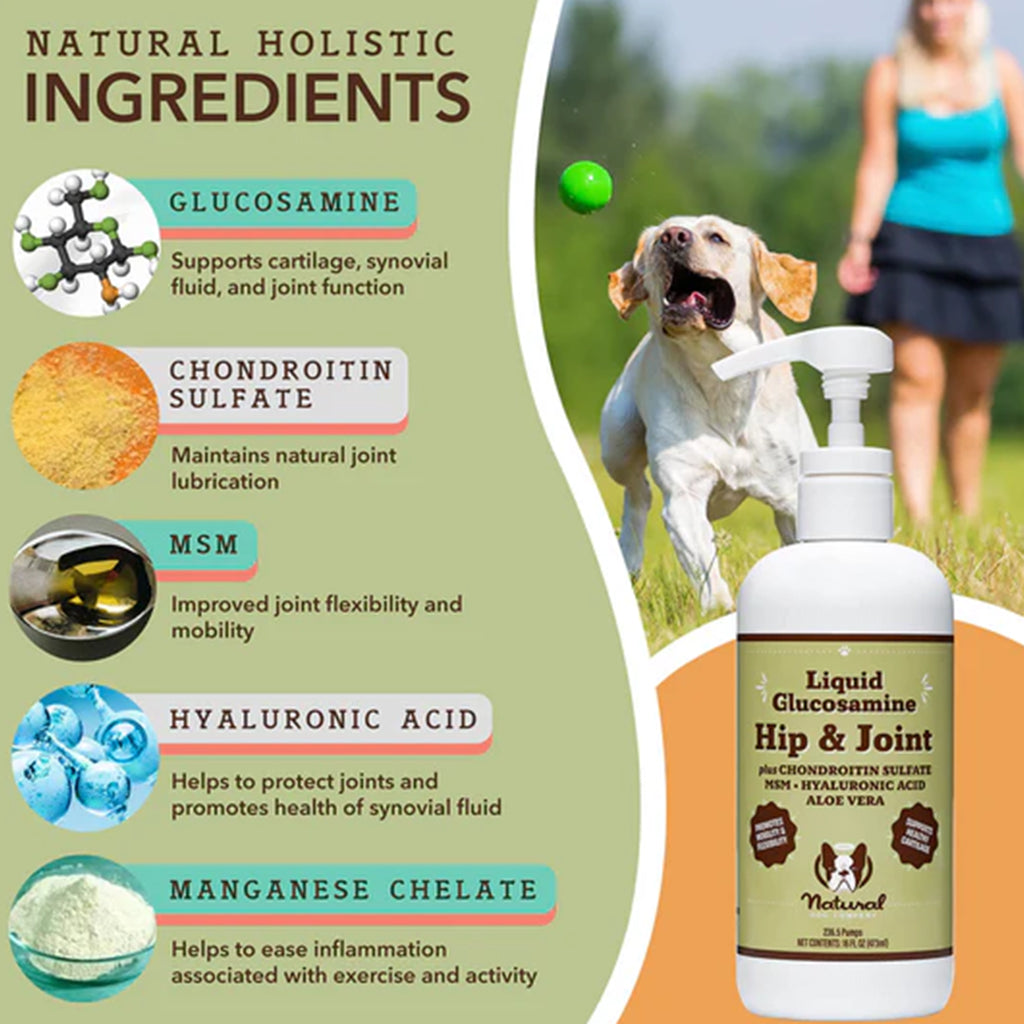 Liquid Glucosamine 16oz  Shore Thing Pet Supply