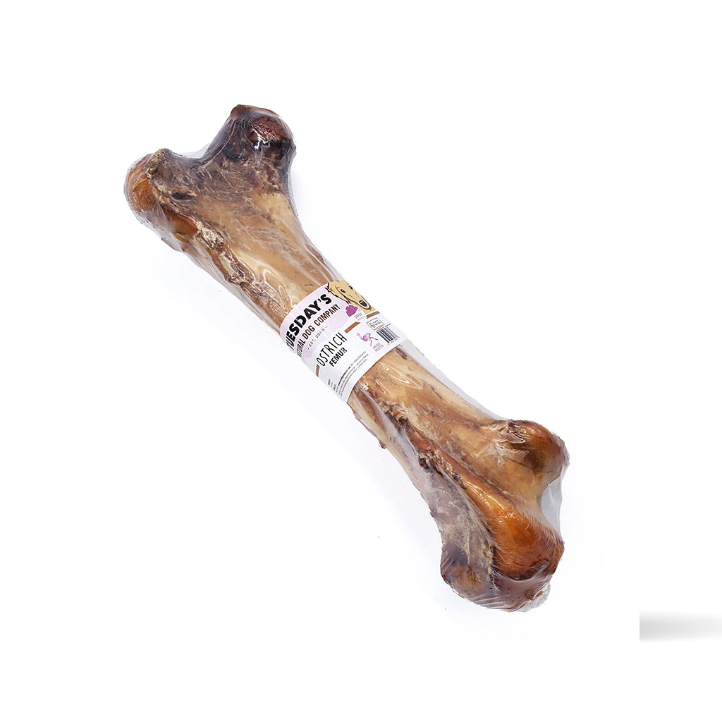 Ostrich Femur Bone