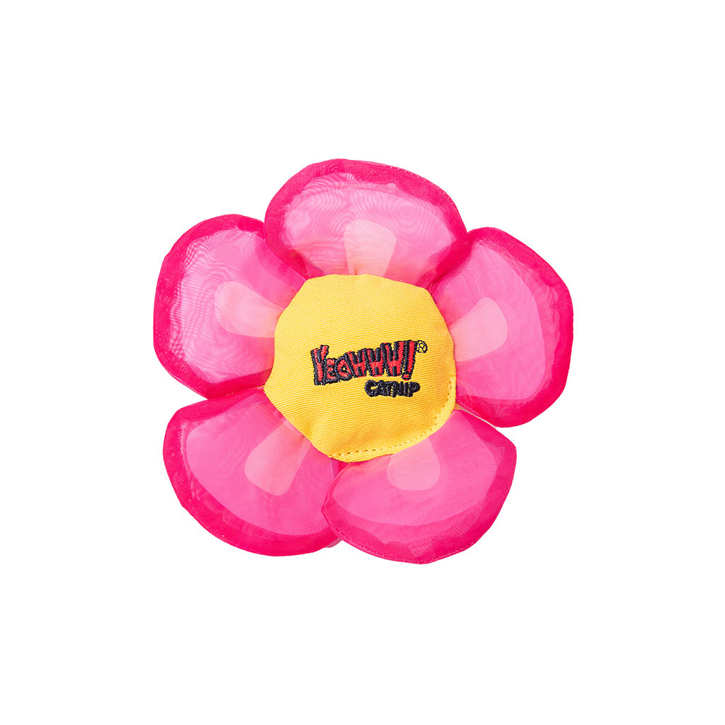 Catnip Daisy Flower Tops