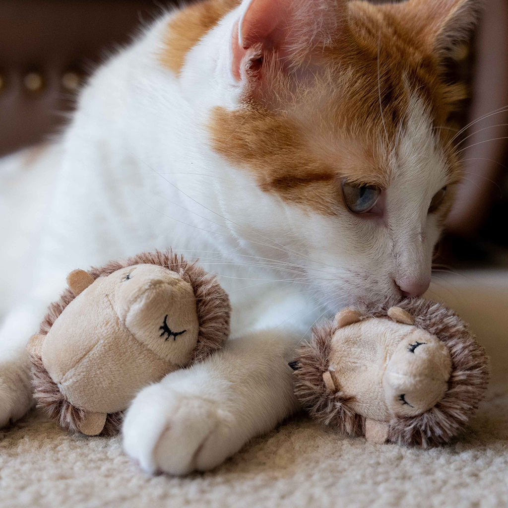 Feline Frenzy Mama & Chip Catnip Toy