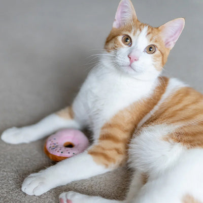 Feline Frenzy Kitty Kreme Donuts Catnip Toy