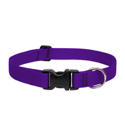Purple Collar